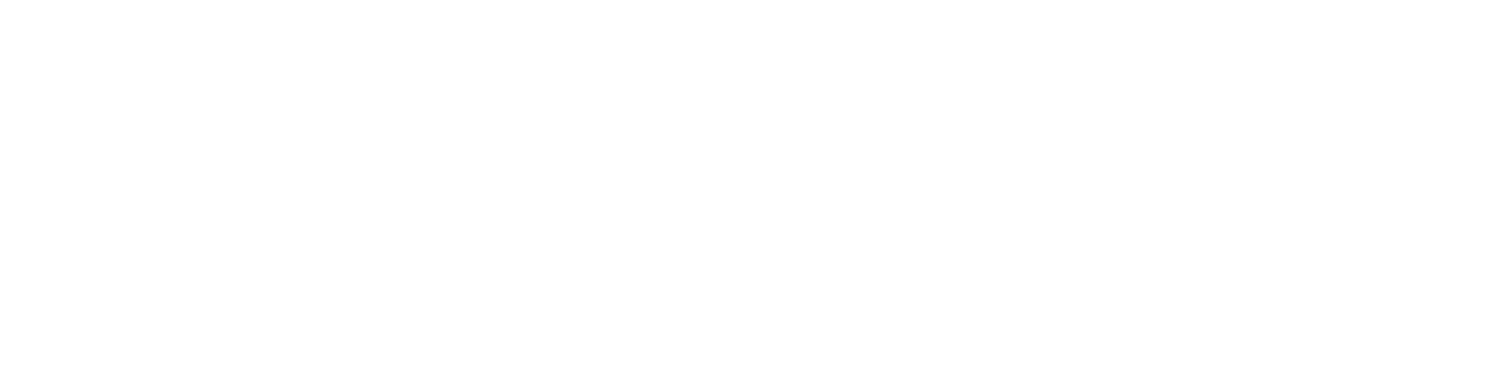DataFly